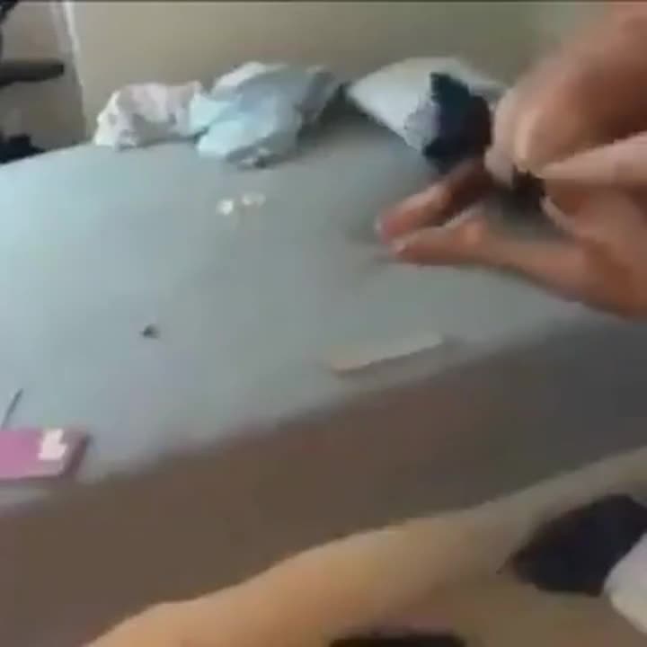 Hardcore GIF by saleh088 : video clip