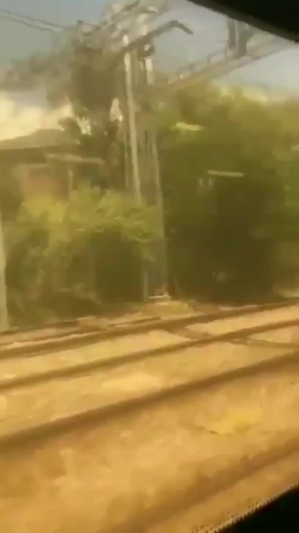 Train Blowjob : video clip