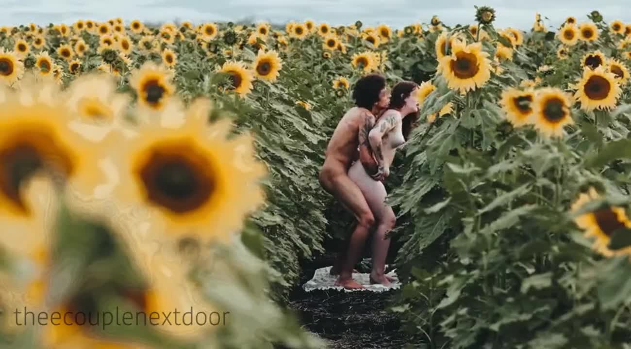 Getting fucked amongst the sunflowers🥵 : video clip