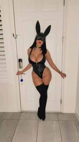 Bimbo bunny : video clip