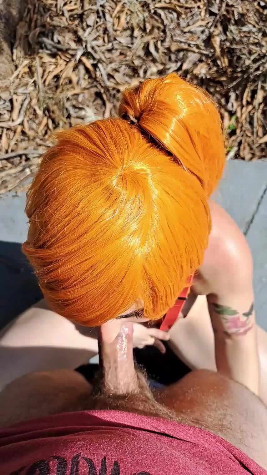Let me swallow your cock outdoors : video clip