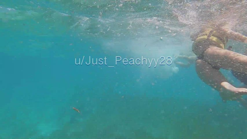 flashing my pussy in the water, they had no idea [GIF] : video clip