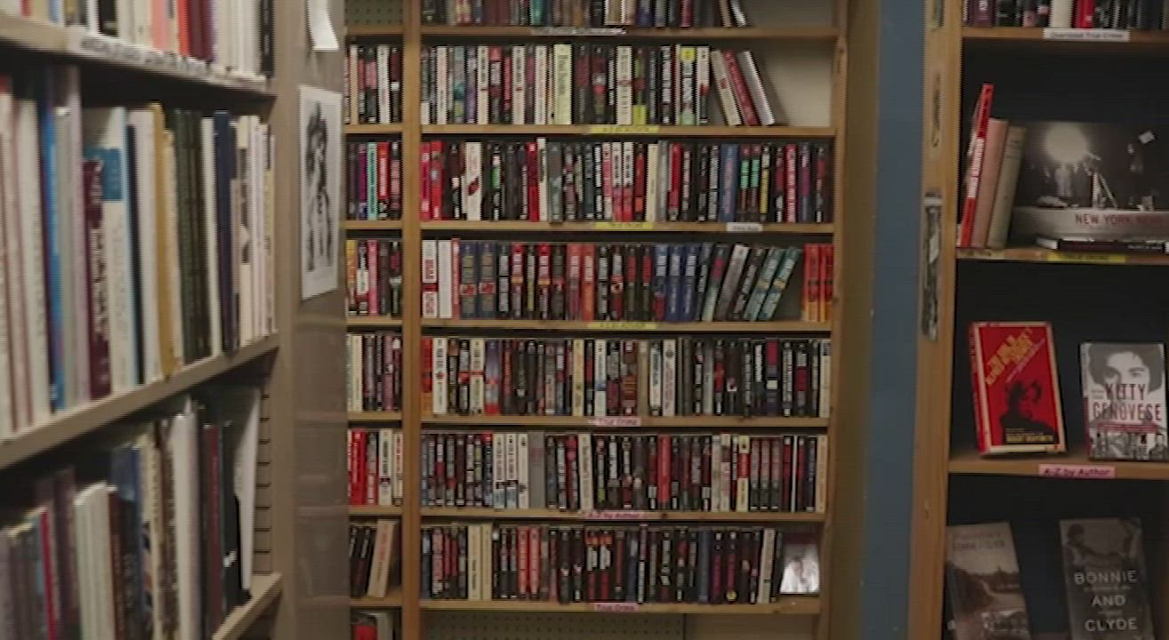 Mallory Christopher is a sexy librarian : video clip
