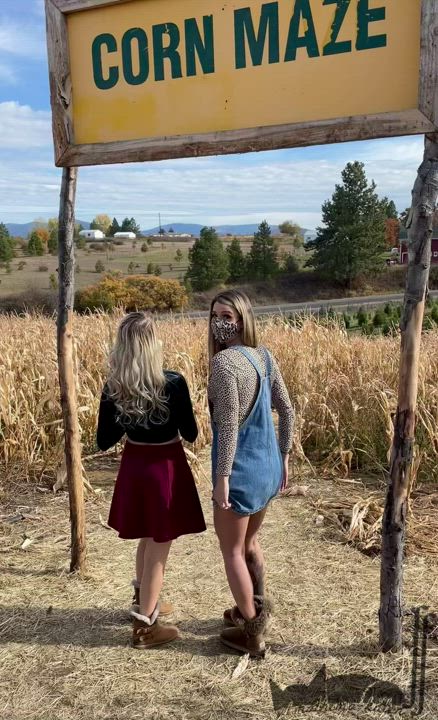 Let’s see how risky we can get in the corn maze :) : video clip