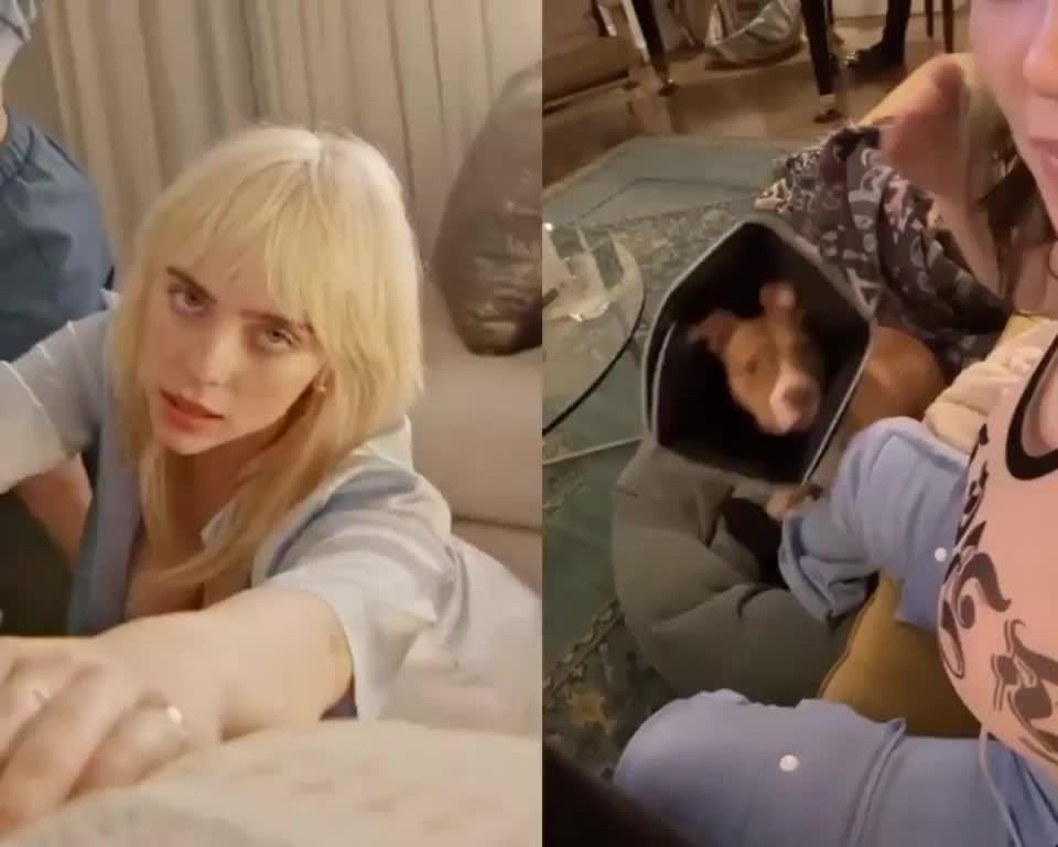 Billie Eilish wants her tits to be the focal point of any discussion : video clip