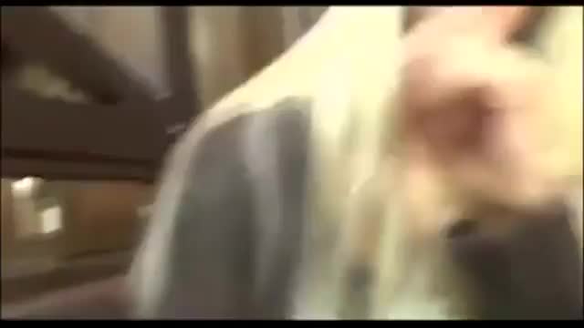 Restaurant fucking : video clip