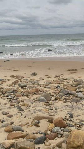 The views at this beach are pretty great [GIF] : video clip