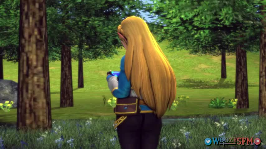 Zelda Likes The New Dlc : video clip