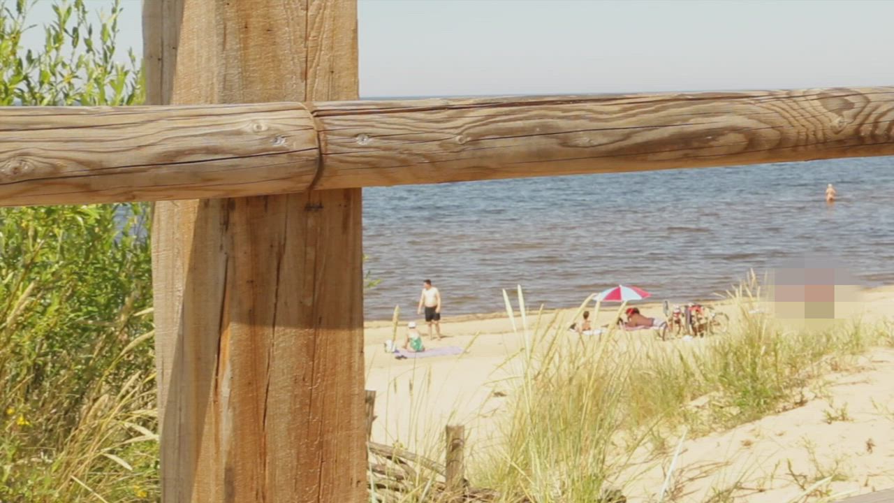 Pussy On The Beach : video clip