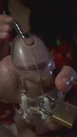 [M/F] [OC] Caged Sounding Nov. Pt. 1 of 2 : video clip