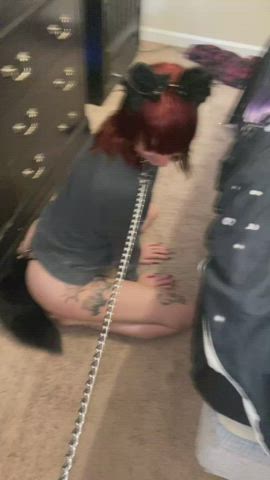 Phoenix (OC)-Petplay : video clip