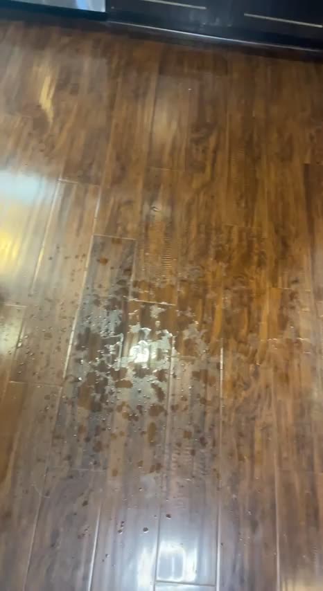 Whoops, I made a mess 🤭 : video clip