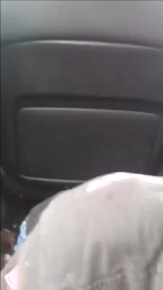 First Date Ended In The Back Of The Car : video clip