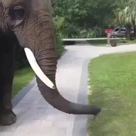 Enjoying each other : video clip