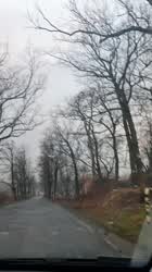I need to get myself another, more pleasant seatbelt : video clip