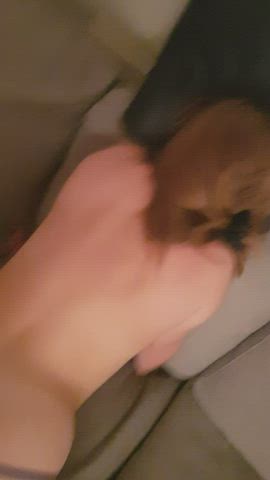 [F]ucked hard on Friday night, for you to enjoy Saturday [m]orning 😉 [oc] : video clip