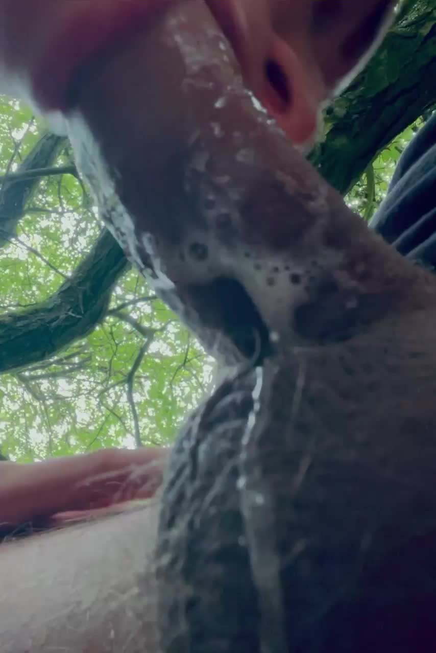 Sometimes you just need to slobber on dick in the park (sound on) : video clip