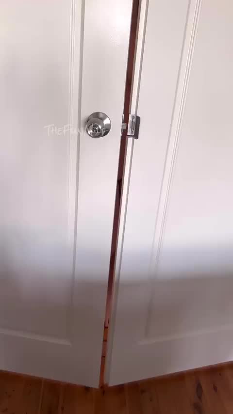 You can come in only if you cum in me! : video clip