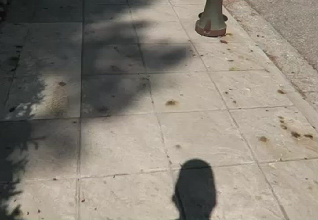 Hope the locals don’t mind seeing British girls flash on there streets [GIF] : video clip