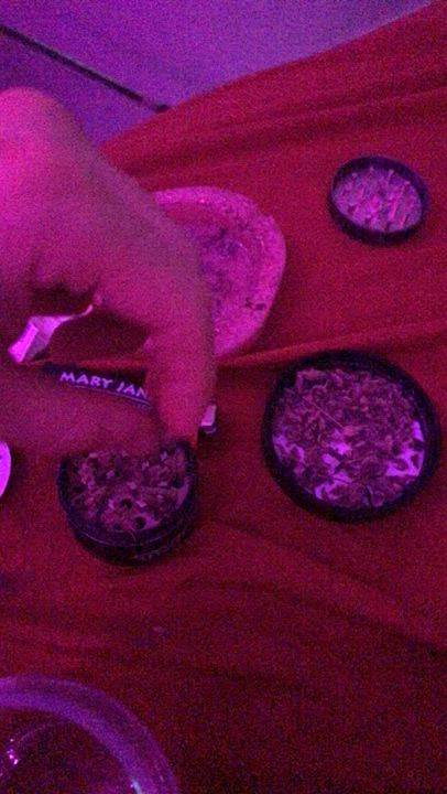 can I blow you while you roll me a joint? : video clip
