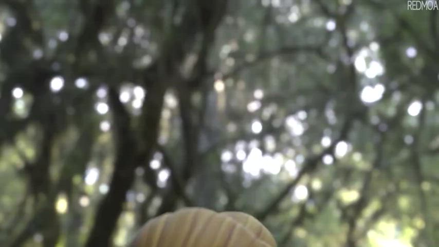 Tinkerbell tries to please human cock (Peter Pan) [Redmoa] : video clip
