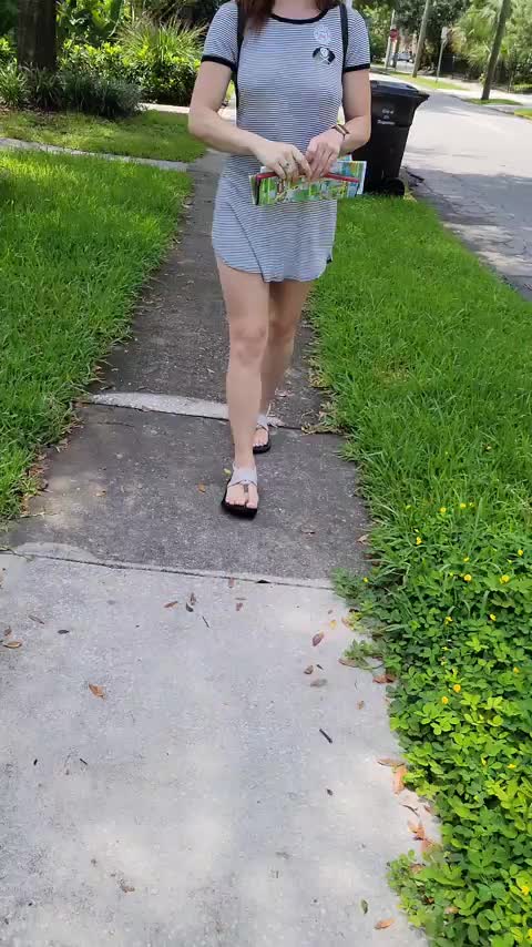 Taking in the sights [GIF] : video clip