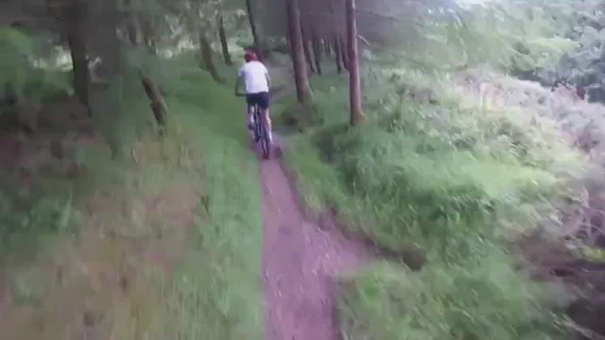 They are not the wild animals I wanted to find in the mountain : video clip
