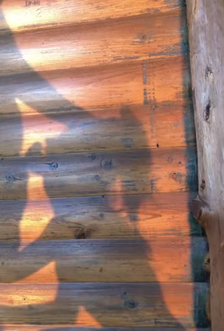 For the imagination 😈 🌺, Sound ON 🔊 : video clip