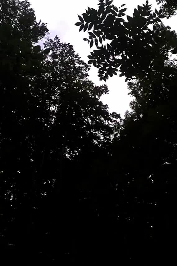 I made him cum on the forest, rubbed it over my boobs and let it dry :3 : video clip