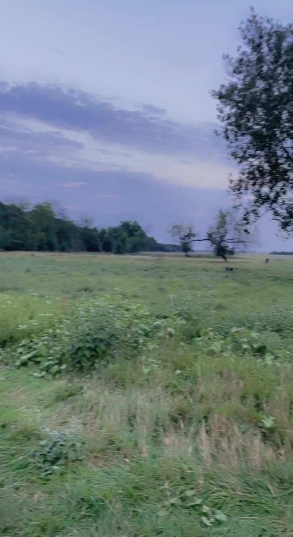 Looking for a friend that I could potentially benefit : video clip