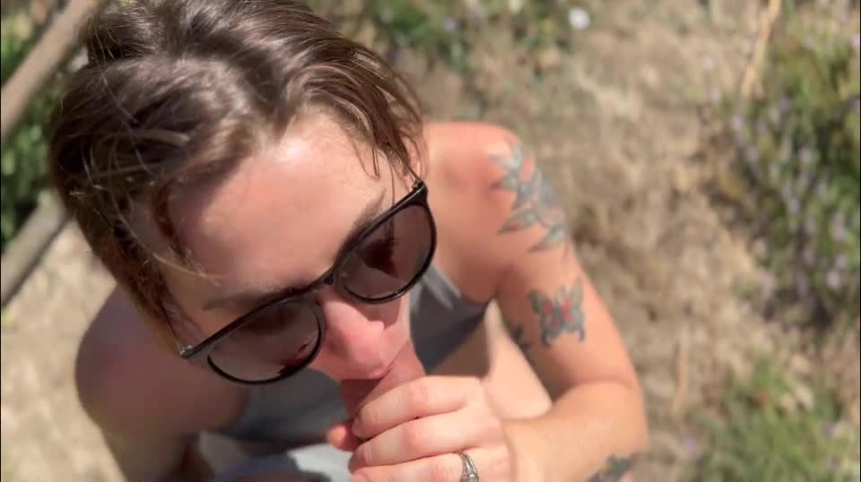 Fun in the sun : video clip