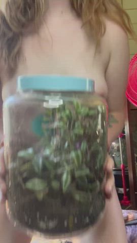 one of my favorite terrariums i’ve made (: : video clip