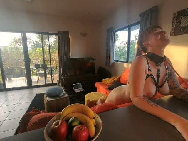 Patiently waiting and getting excited [OC] : video clip