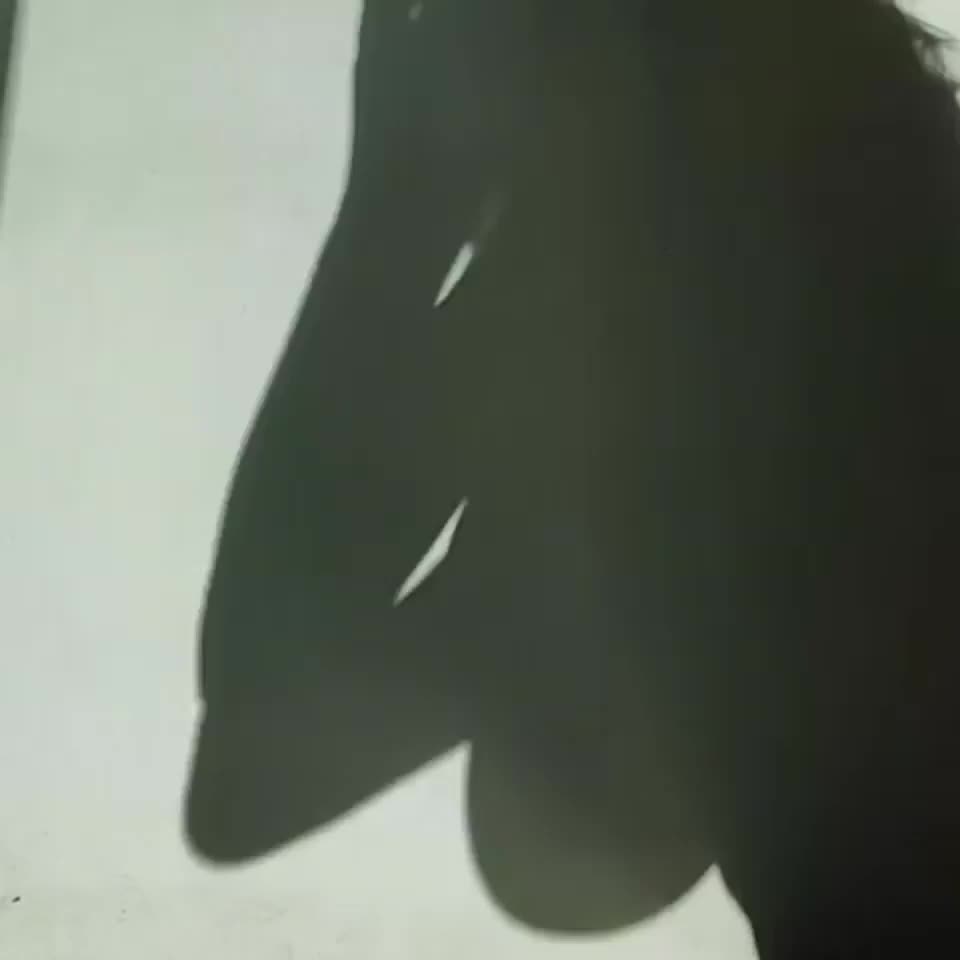 Shadow Play : video clip