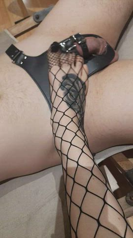 About to destroy this tiny dick : video clip