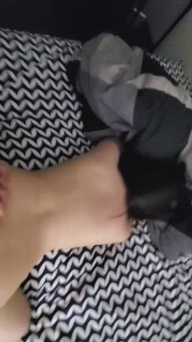 Doggy has to be the best, right? : video clip