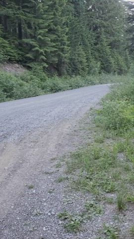 A car drove by this viewpoint for Mount Rainier right after the video, but they missed the real show!😜[GIF] : video clip