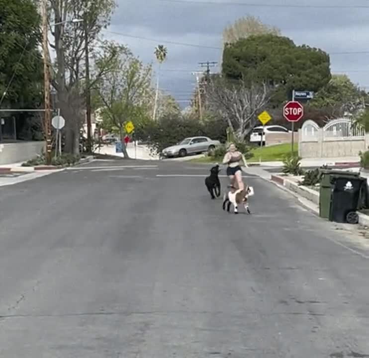 Neighborhood Watch Has It's Perks : video clip