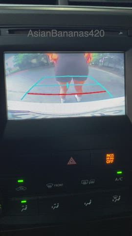 POV: Your car is in reverse 🚗 : video clip