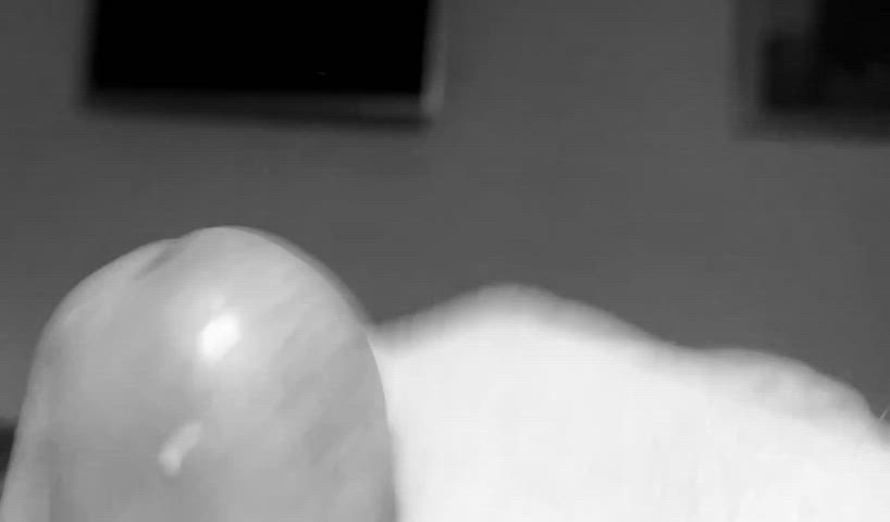 Cock GIF by primarymiserable : video clip