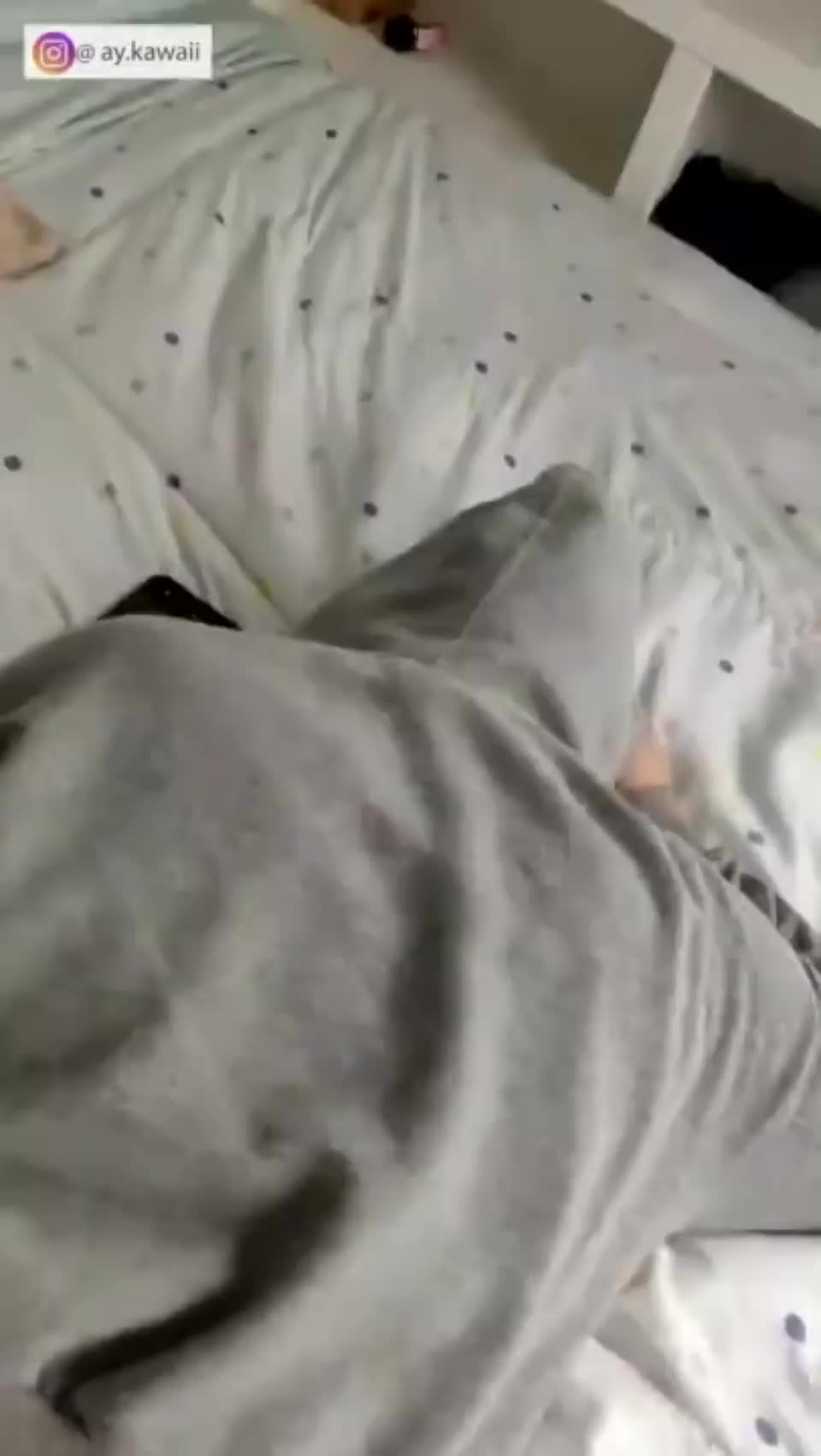 Girl Gets Fucked Up The Ass By Her Roommate While Crying And Moaning : video clip