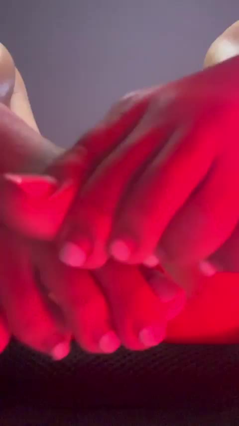 Fuck me if I'm wrong but pigs do fly right? : video clip
