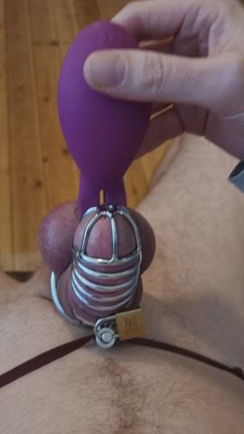 my little caged cock is shooting out of his prison, I call it ruined! : video clip