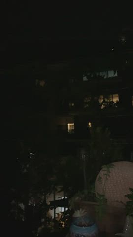 Doggy on our rooftop in the middle of the city, sometimes we just can't help ourselves... : video clip