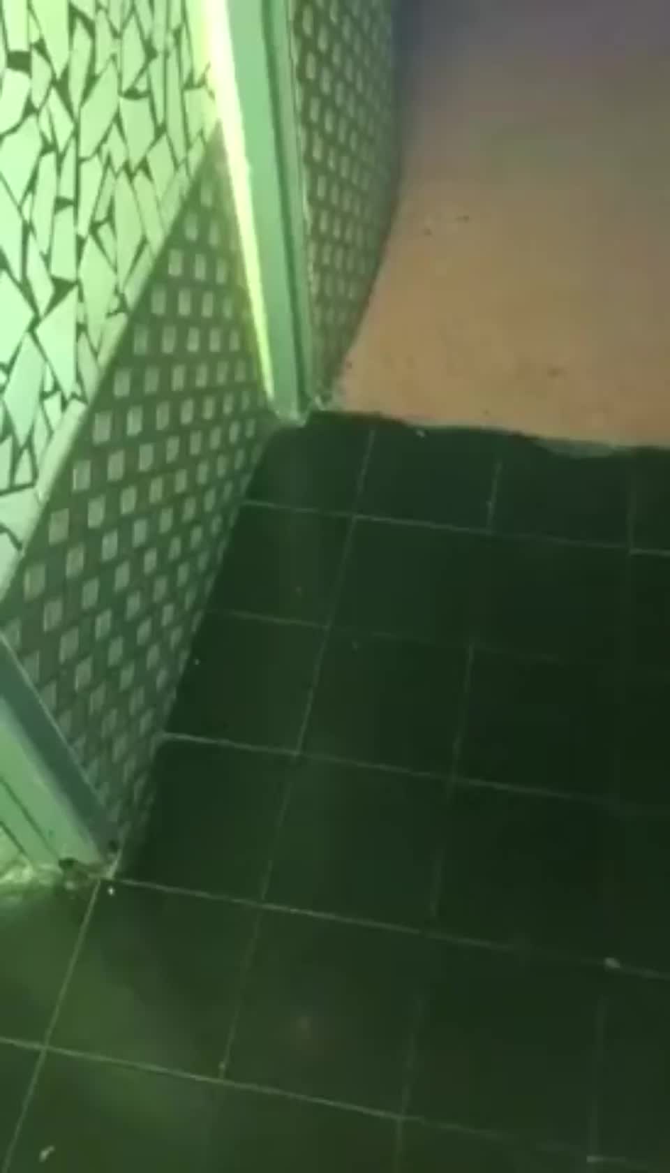 Two Girls At Toilet Have Fun Again : video clip