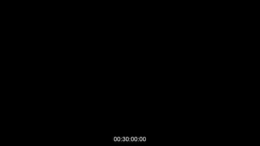 Ashley - "Last Images" (DESDRAW) [Resident Evil] : video clip