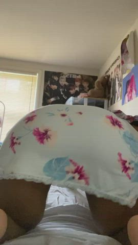 Pussy says hello : video clip