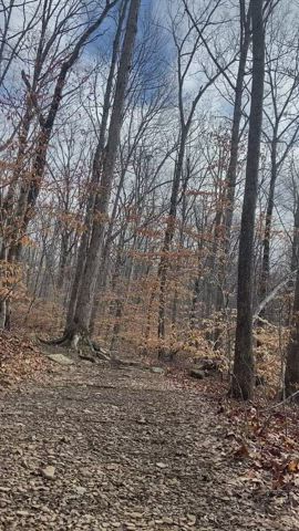 Pale girls running through the woods : video clip