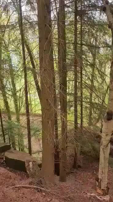 I will suck dick anytime and anywhere. : video clip