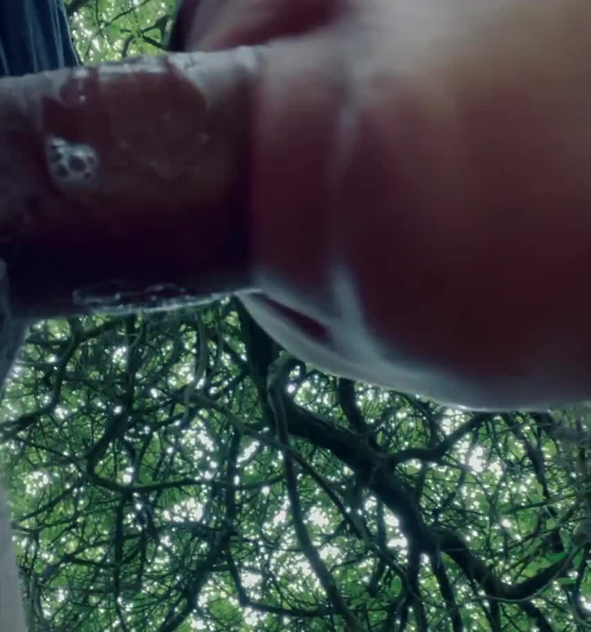 Come find me in the park : video clip